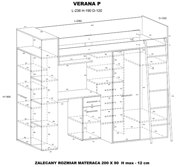 Verana P rysunek kopia
